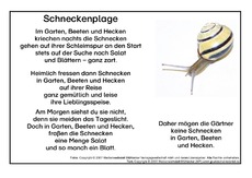 Schnecken.pdf